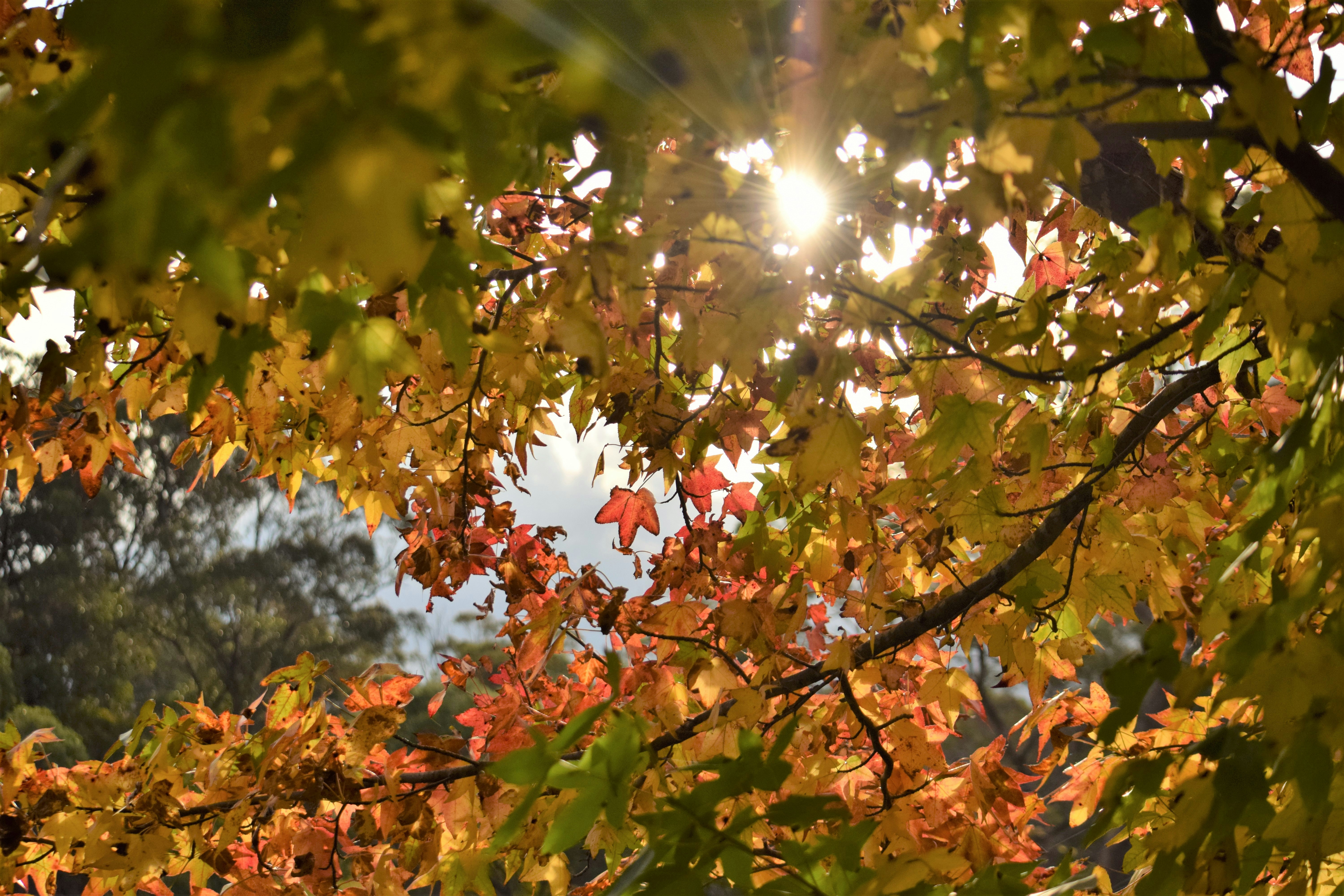 Photo by ch_photography