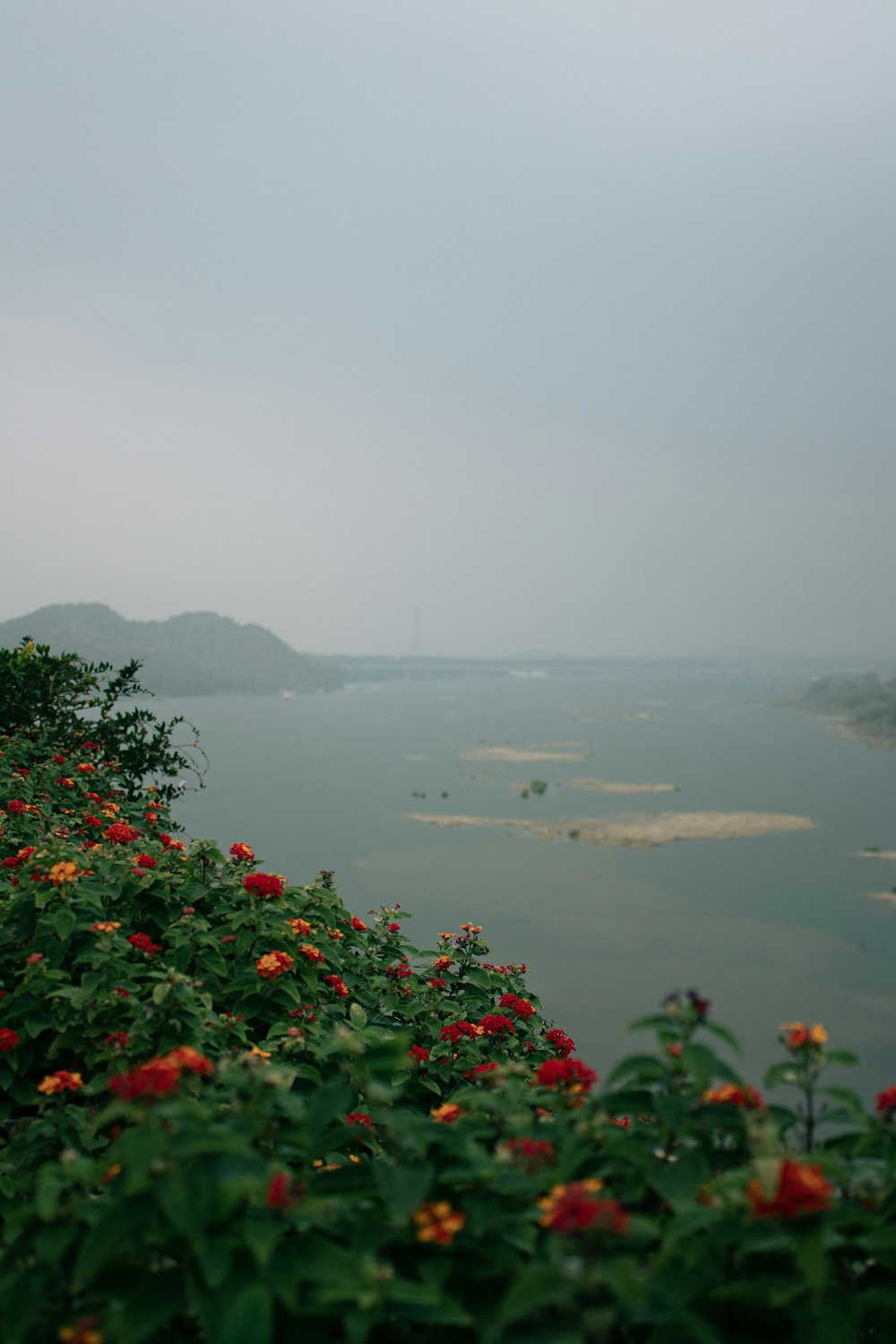 a view of a body of water from a hill