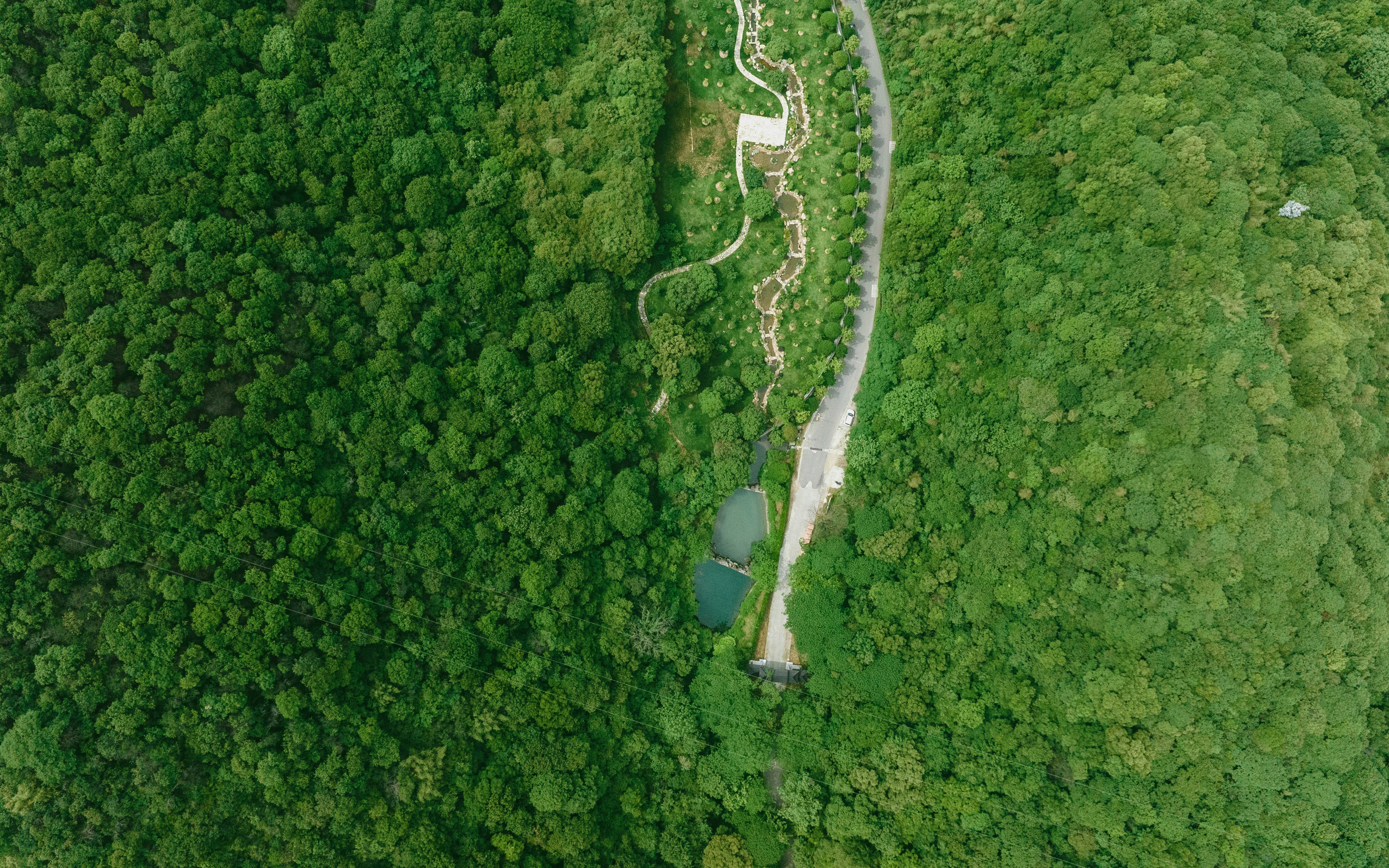 Photo by yooho962464