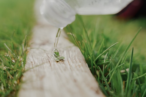 Close-up of water droplets replenishing a dry soil landscape.