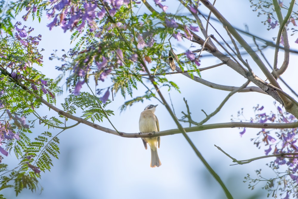 a small bird perched on a tree branch