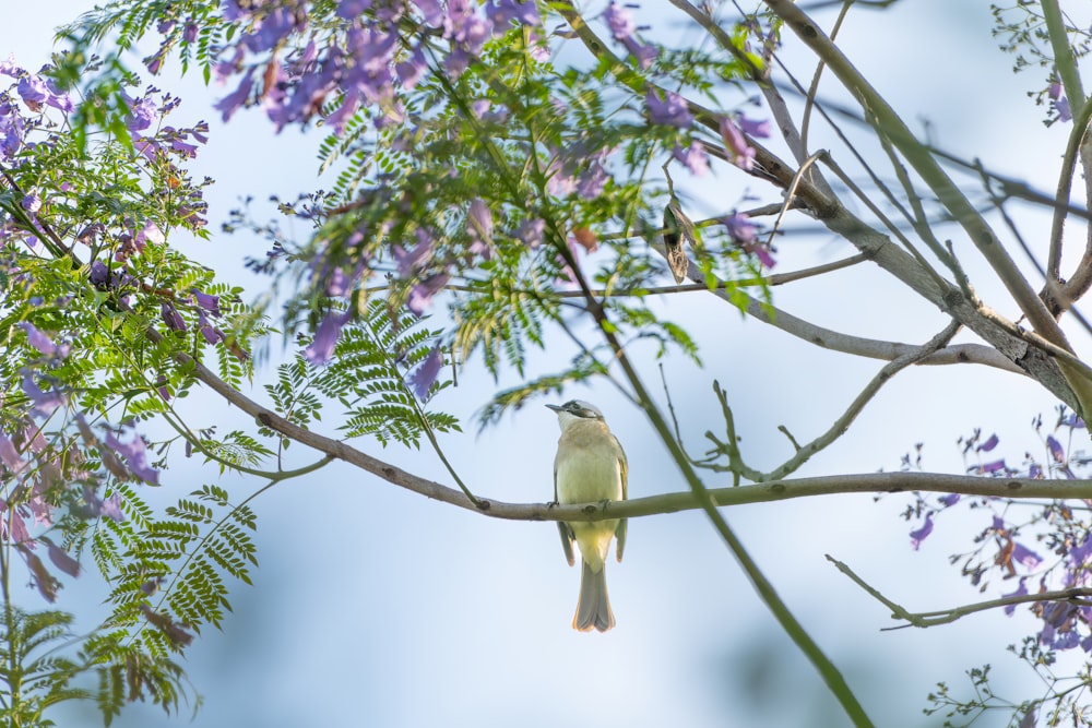 a small bird perched on a tree branch