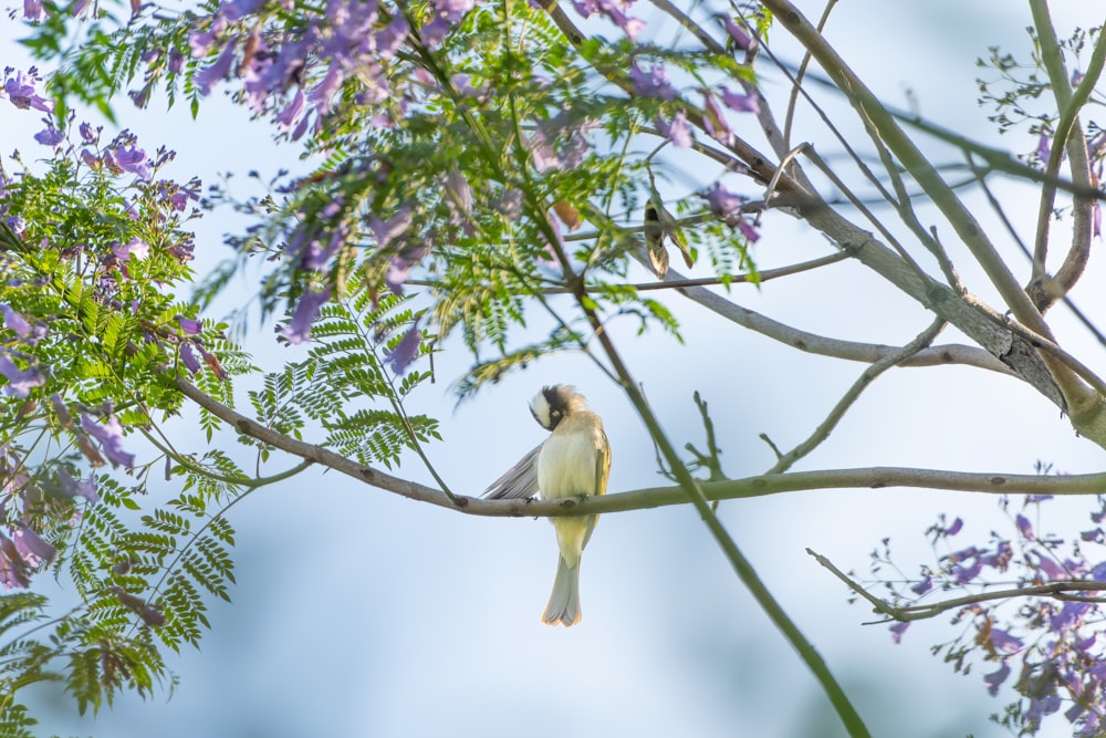 a small bird perched on a tree branch