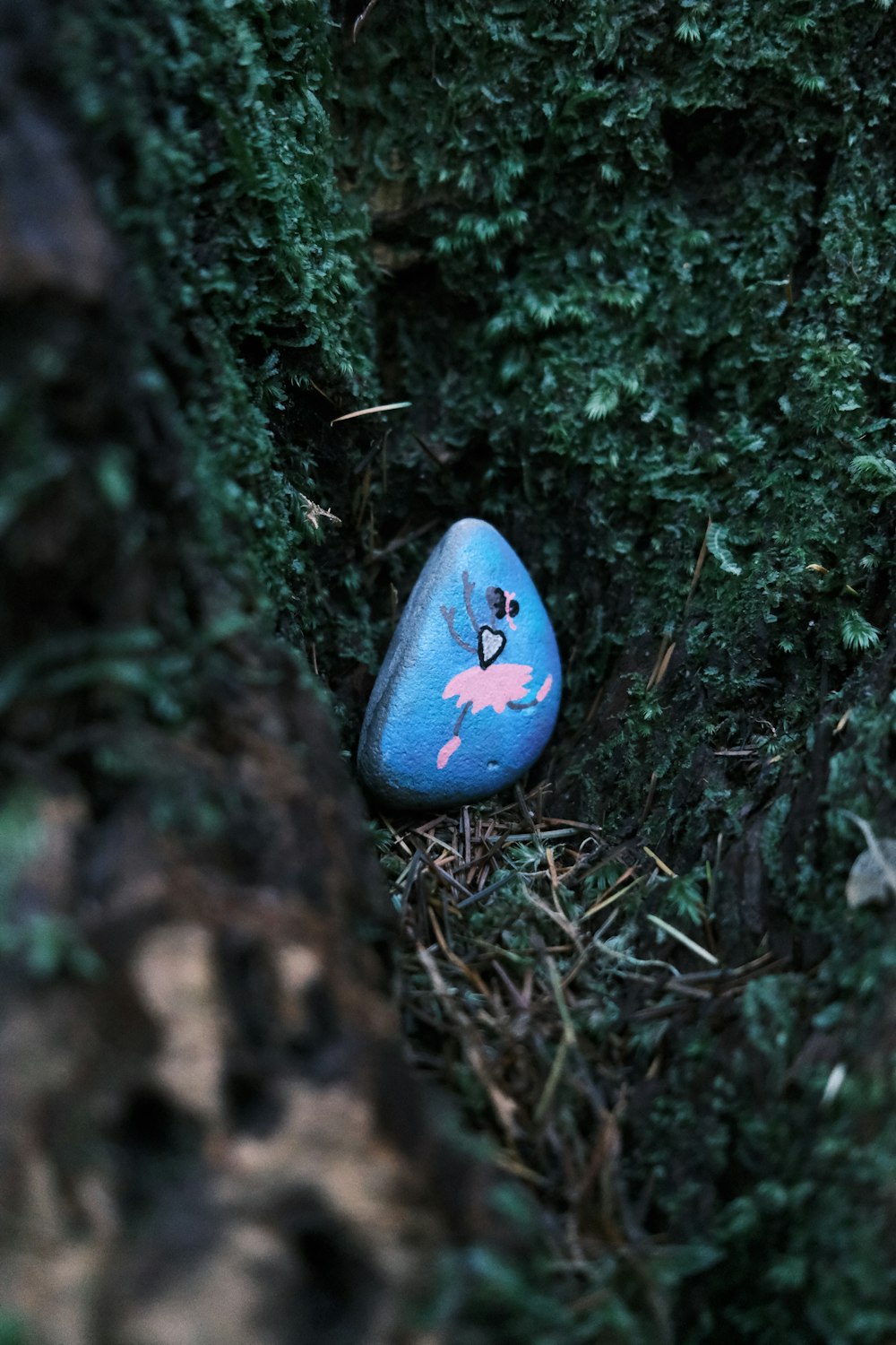 a blue rock sitting on top of a lush green forest