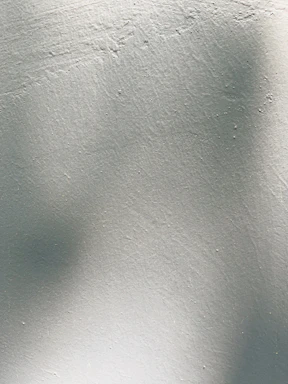 Close-up of smooth putty finish on a wall with soft natural lighting highlighting the texture.