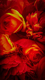 Close-up shot of vibrant flowers with intricate textures and vivid colors.