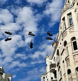 A row of freshly cleaned shoes drying on a rack in bright sunlight.