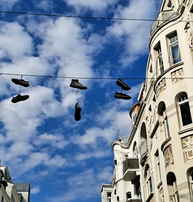 A row of freshly cleaned shoes drying on a rack in bright sunlight.