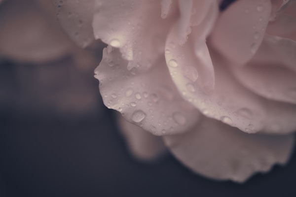 Personalized Flower Essence