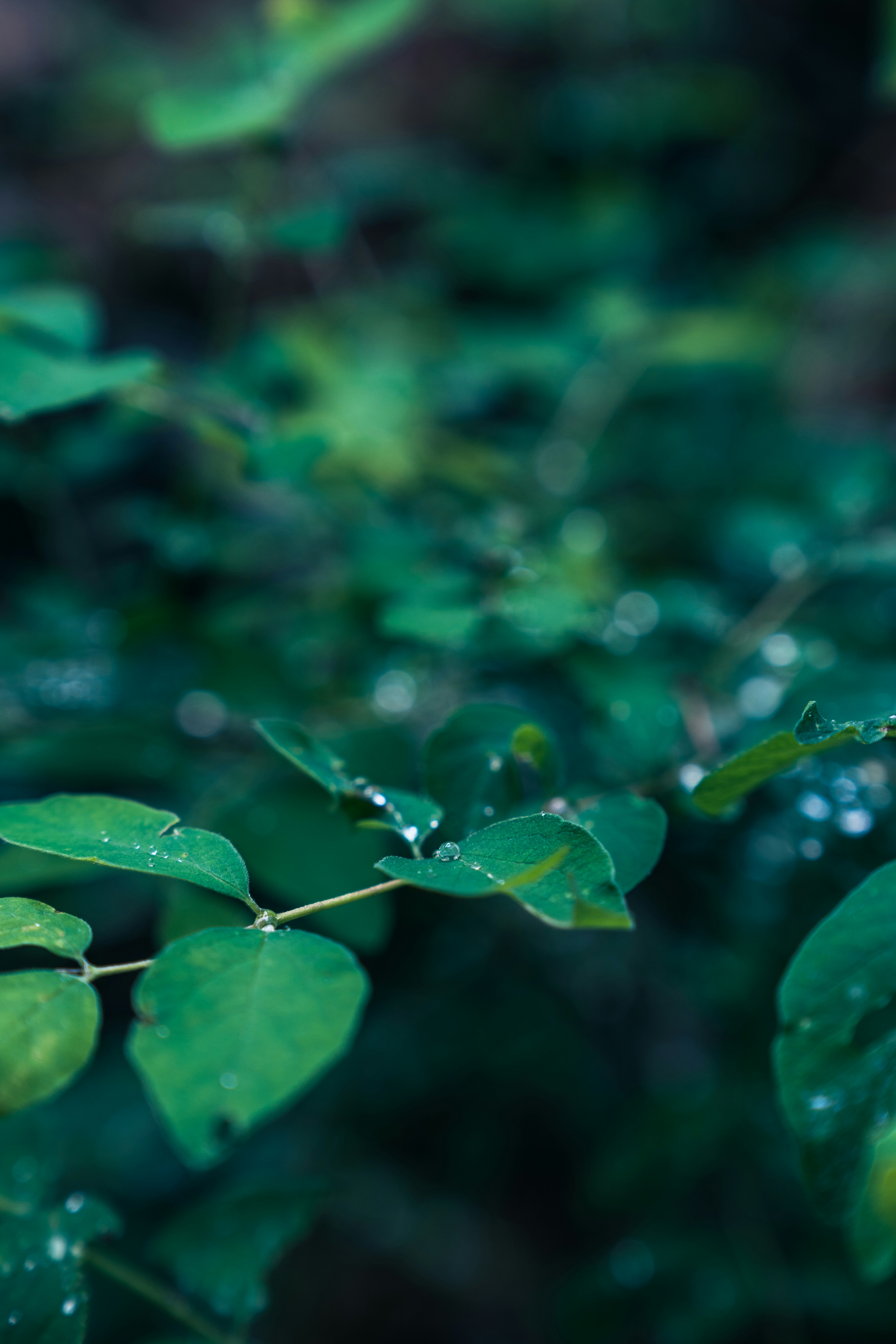 Photo by neatocreative