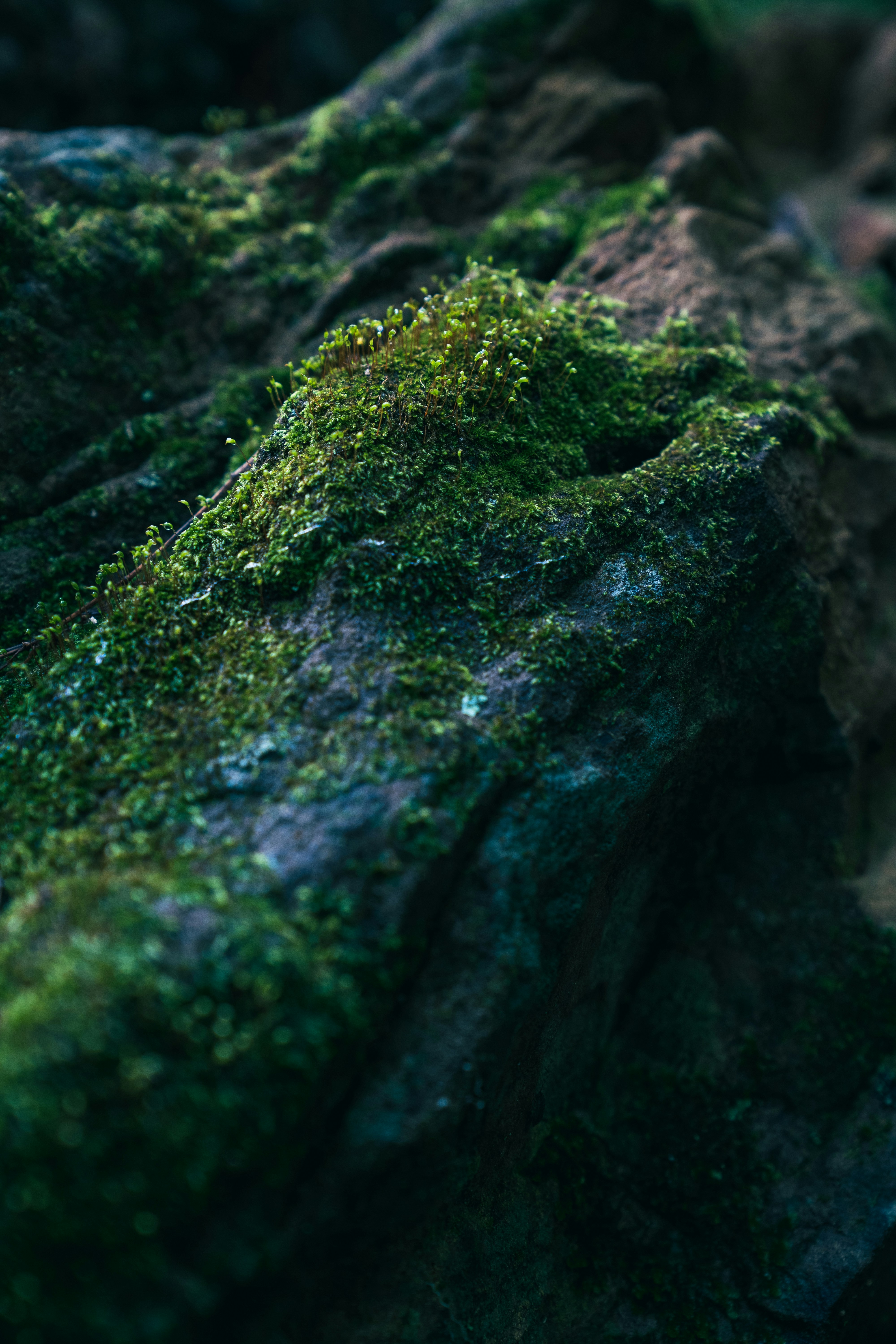 Photo by neatocreative