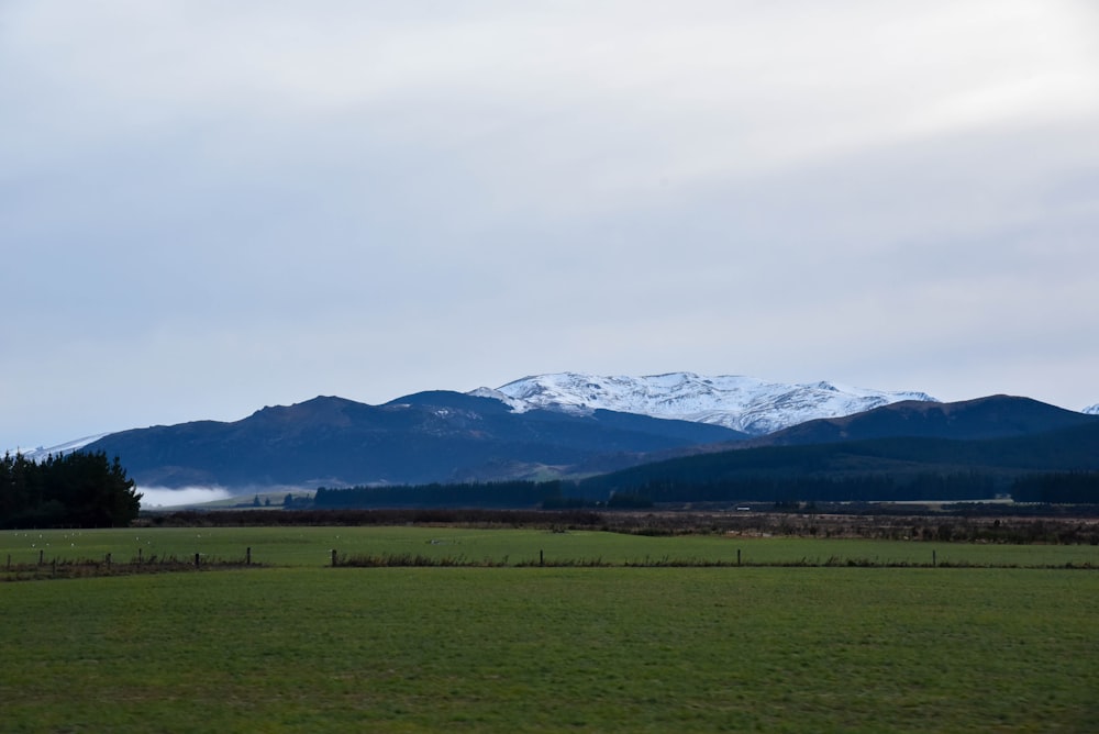 a green field with mountains in the background