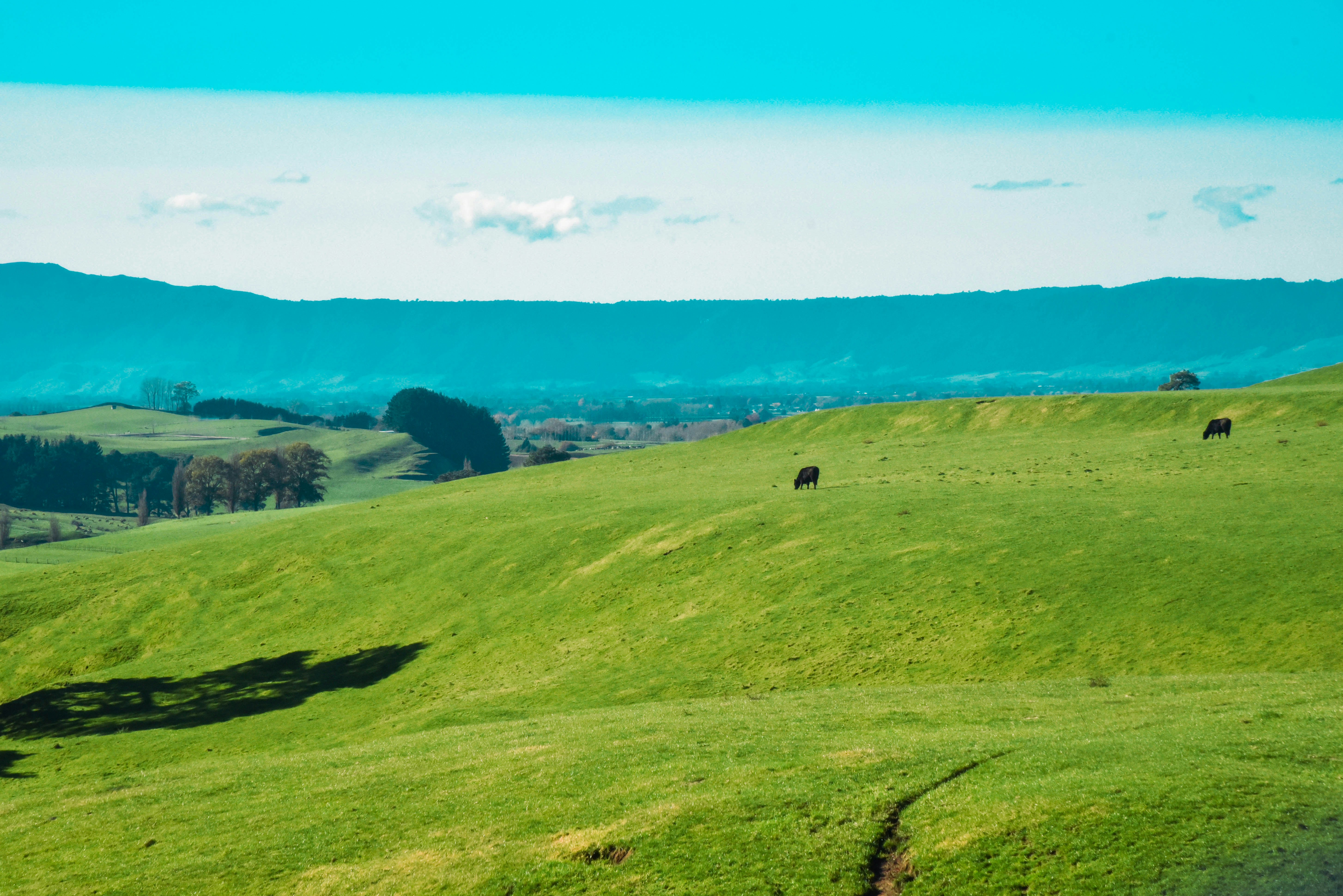 Photo by kurisuchanxx