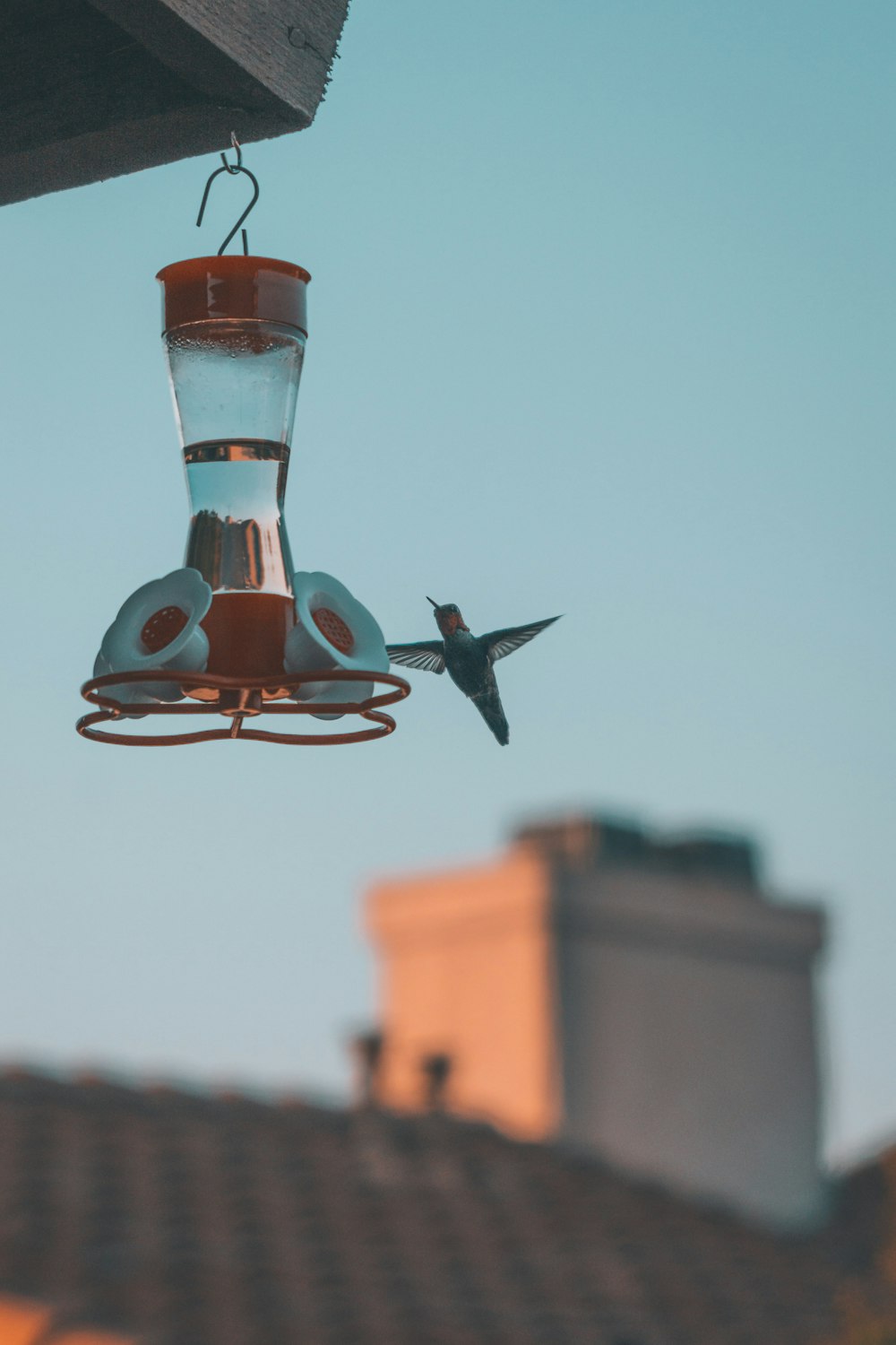 a hummingbird flying away from a hummingbird feeder