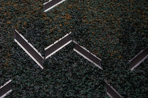 Aerial view of a series of solar panels embedded within dense green foliage, arranged in a geometric zigzag pattern.