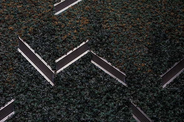 Aerial view of a series of solar panels embedded within dense green foliage, arranged in a geometric zigzag pattern.