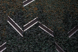 Aerial view of a series of solar panels embedded within dense green foliage, arranged in a geometric zigzag pattern.
