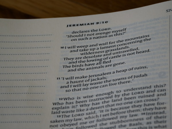 Finding Peace Through Bible Verses