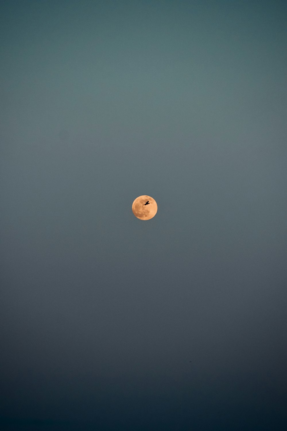 a full moon is seen in the sky