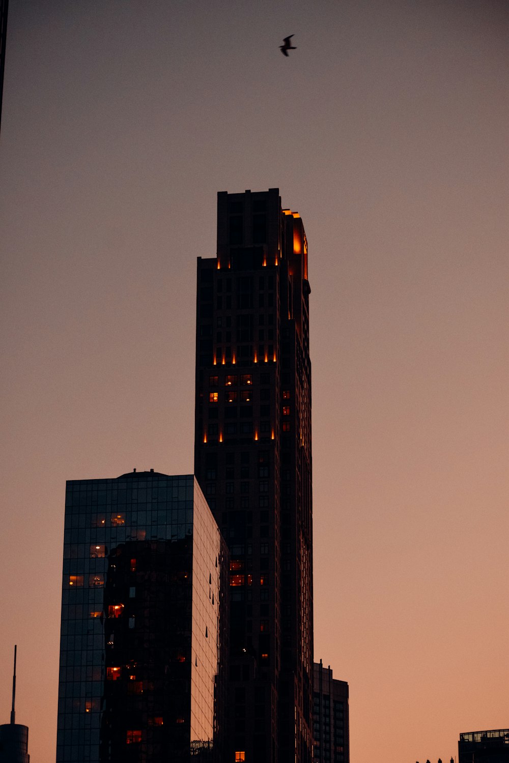 a tall building with a bird flying in the sky