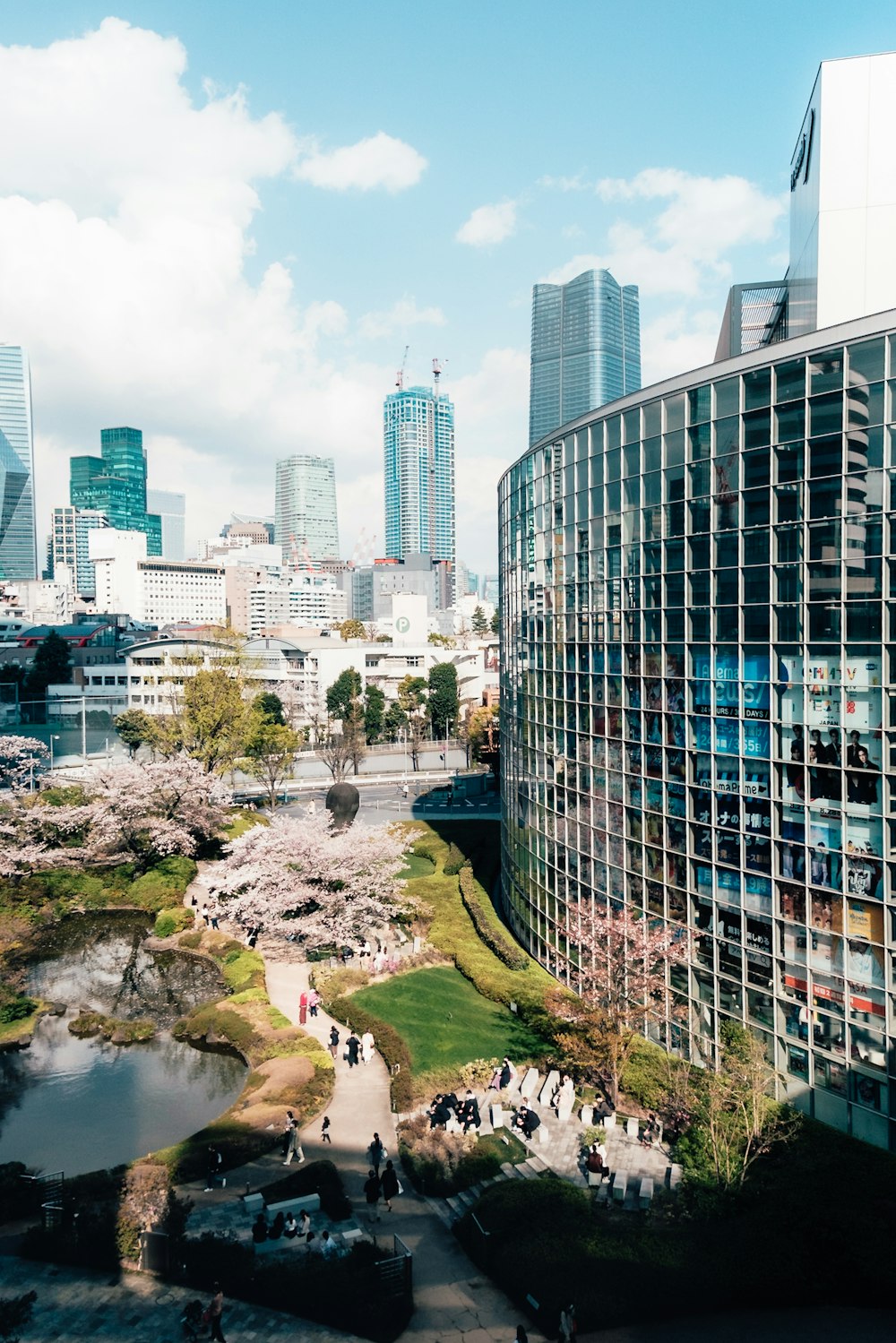 a view of a city with cherry blossoms in bloom