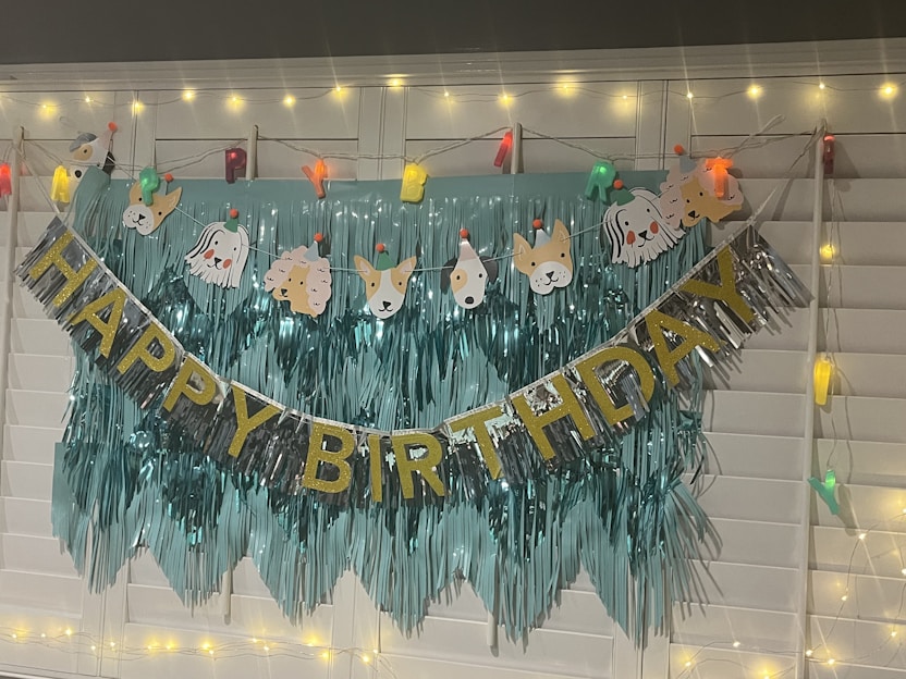 A decorative setup with a 'Happy Birthday' banner featuring glittery gold and silver letters. Above it are cartoon animal faces wearing party hats, and the backdrop is a fringe of metallic teal material. String lights with warm yellow and multicolor fixtures add a festive atmosphere.