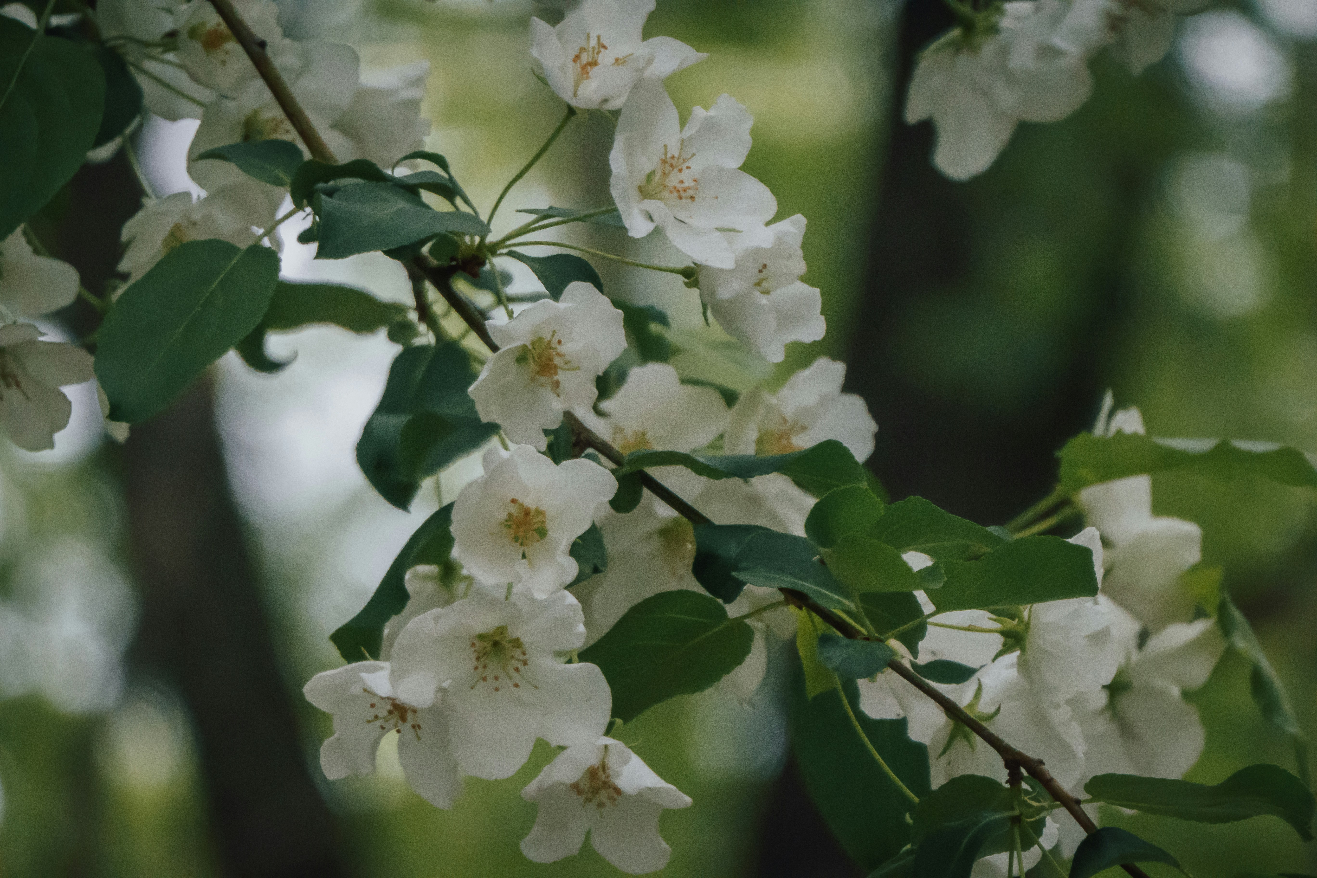 Photo by tetraktus