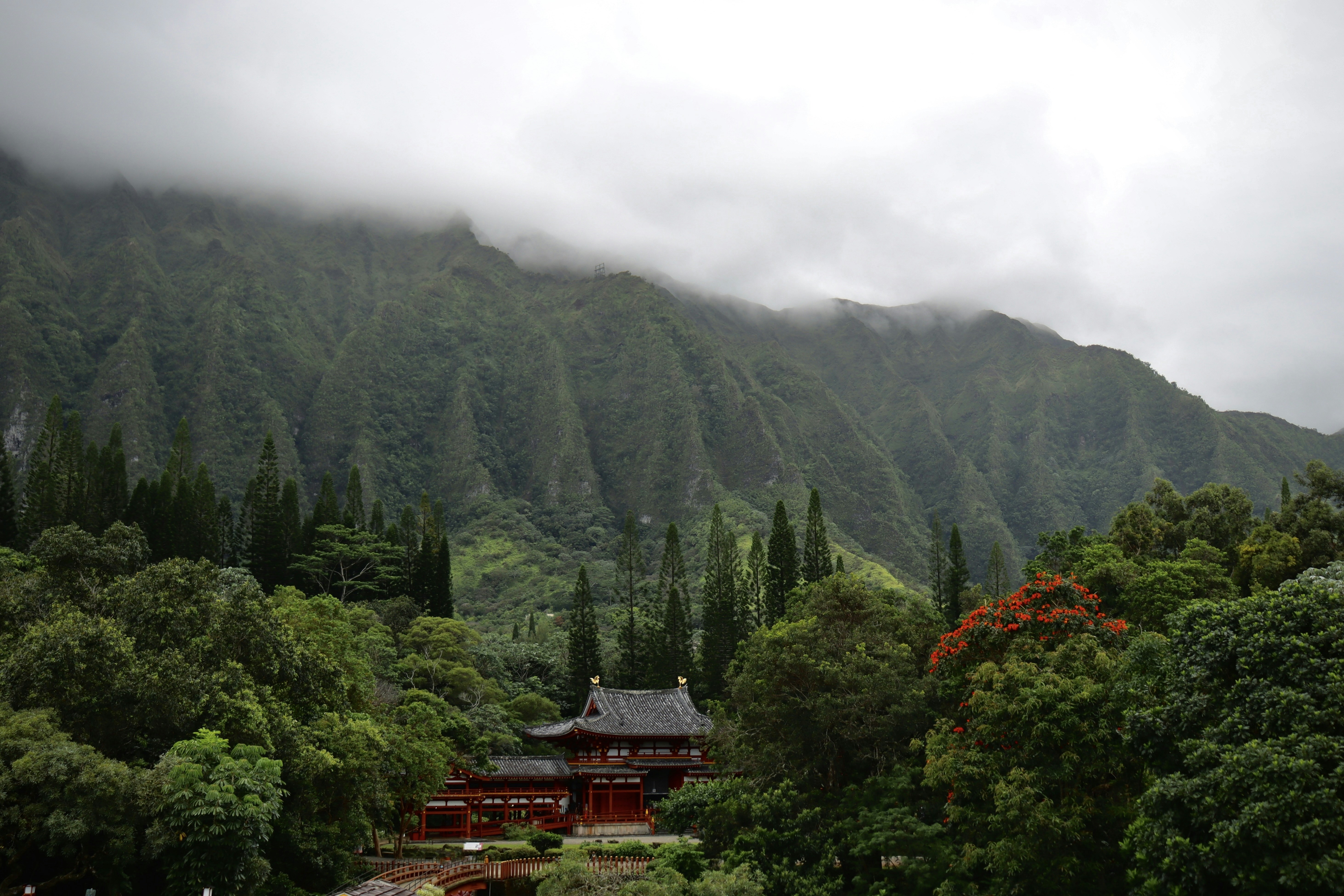 a house in the middle of a forest with a mountain in the background