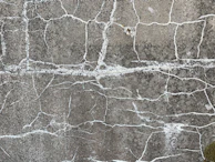Patterns forming on drying cement, showing textures and cracks in detail.
