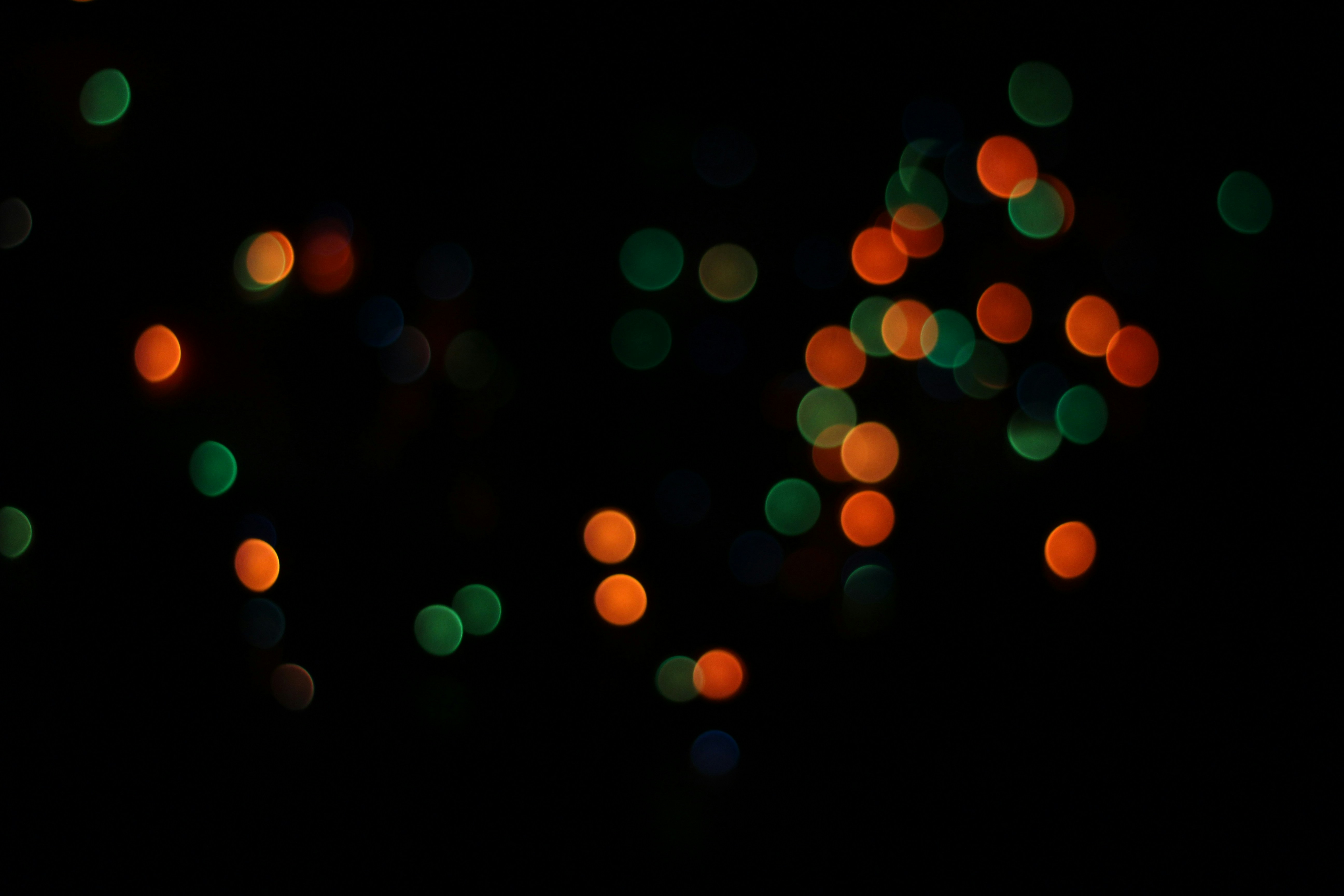 Photo by toushifalam