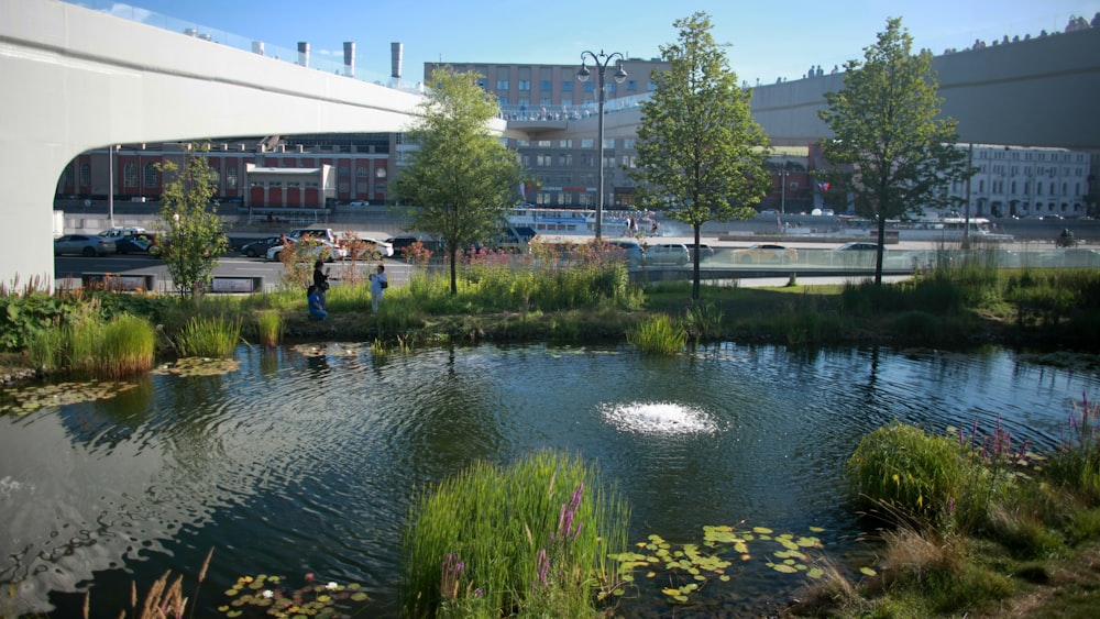 a pond in a city park with a bridge in the background