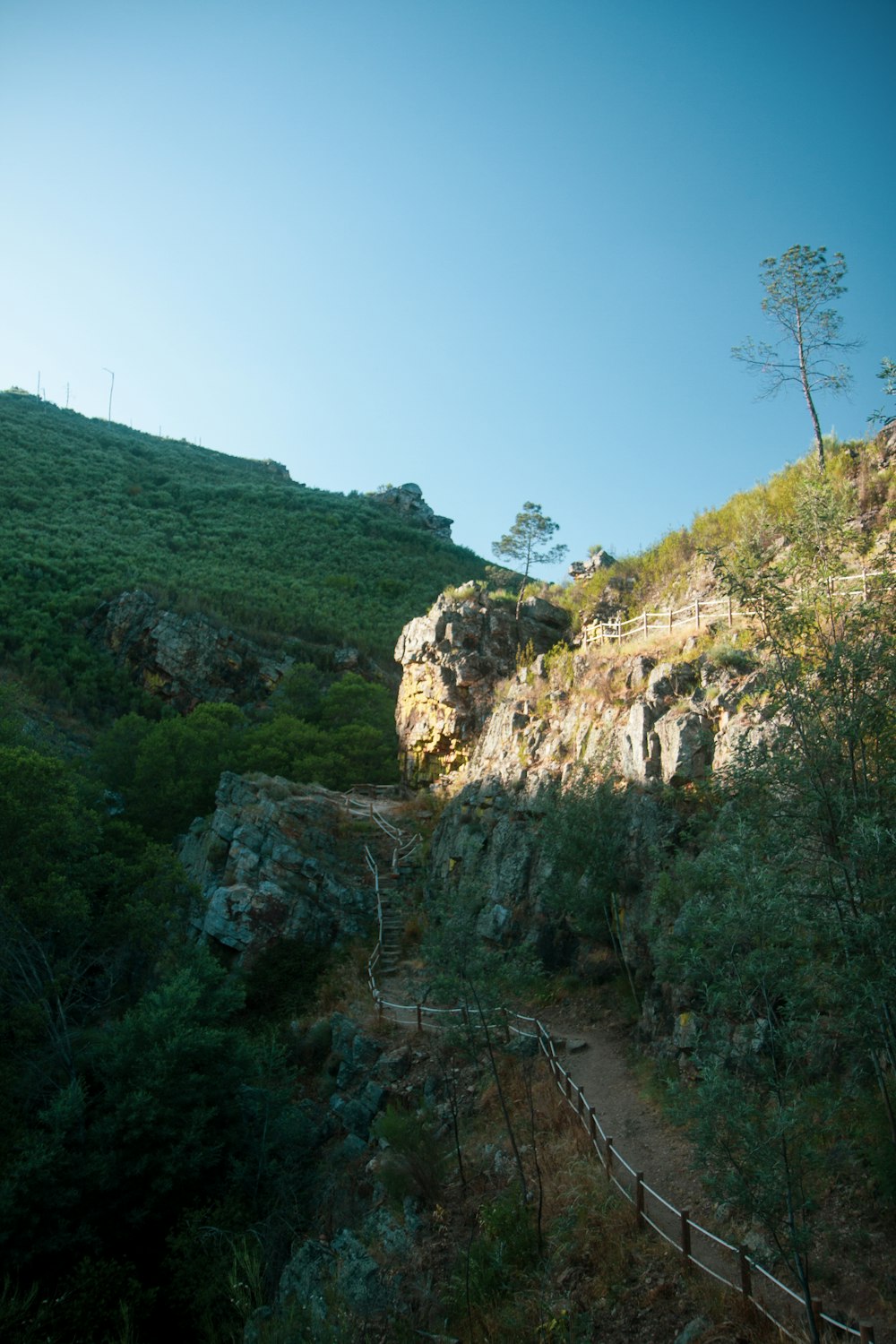 a wooden path going up a mountain side