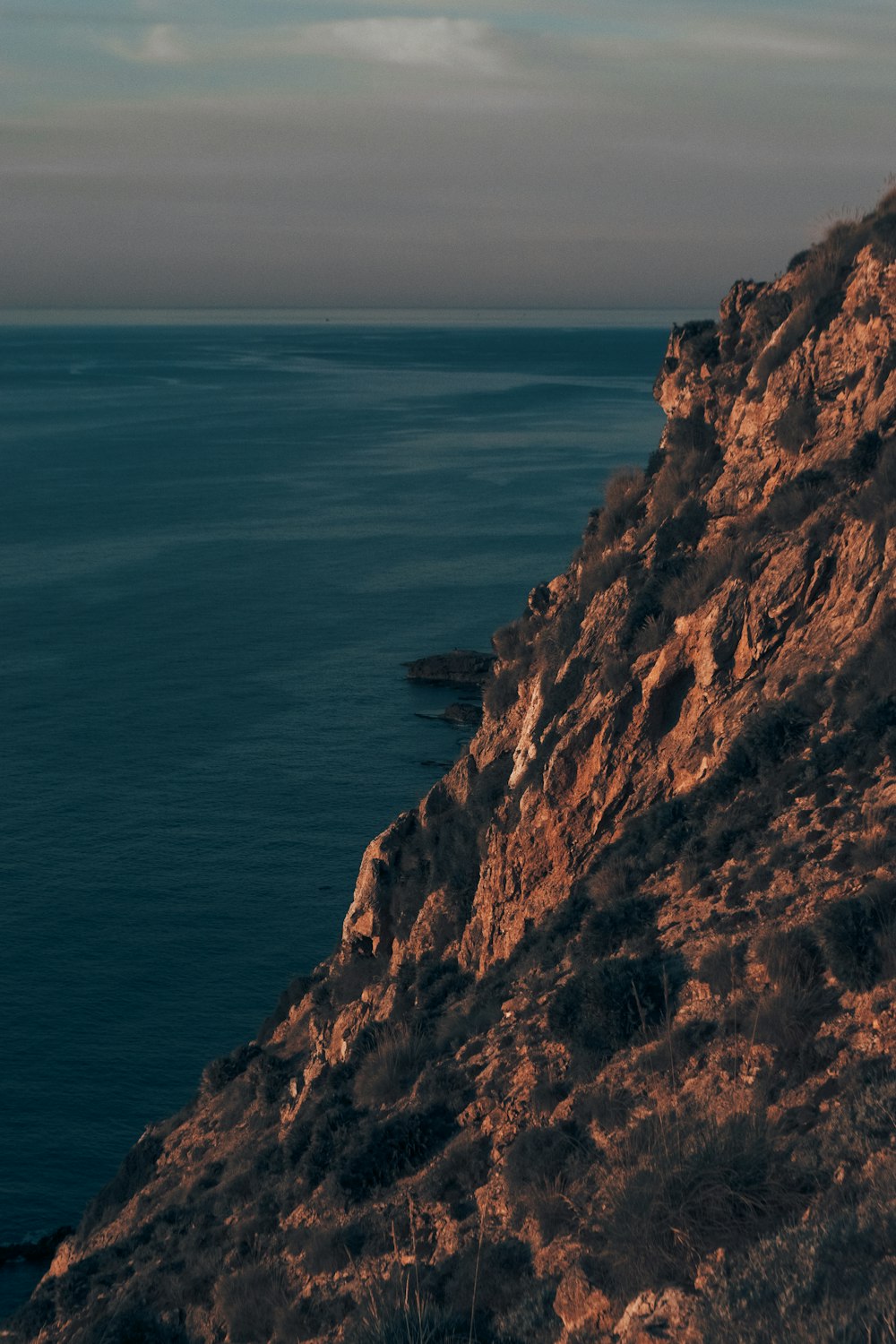 a lone sheep standing on the edge of a cliff overlooking the ocean