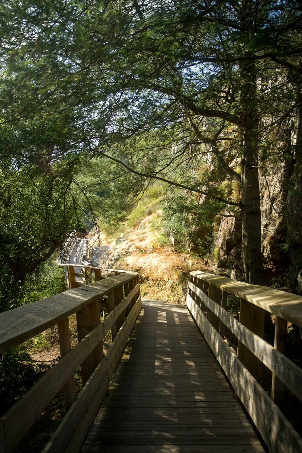 a wooden bridge over a river surrounded by trees