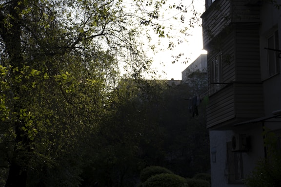 A serene outdoor scene featuring a modern cooling unit surrounded by greenery.