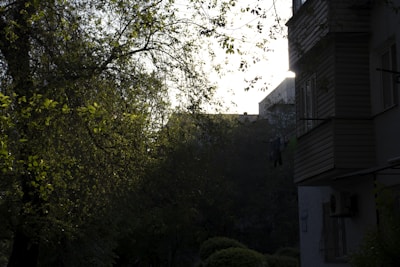 The image captures a serene, dimly lit outdoor scene. A building on the right side has windows and air conditioning systems attached. The area is surrounded by abundant greenery, with tree branches and leaves illuminated by soft light. The background shows faint outlines of other buildings partially obscured by the foliage.