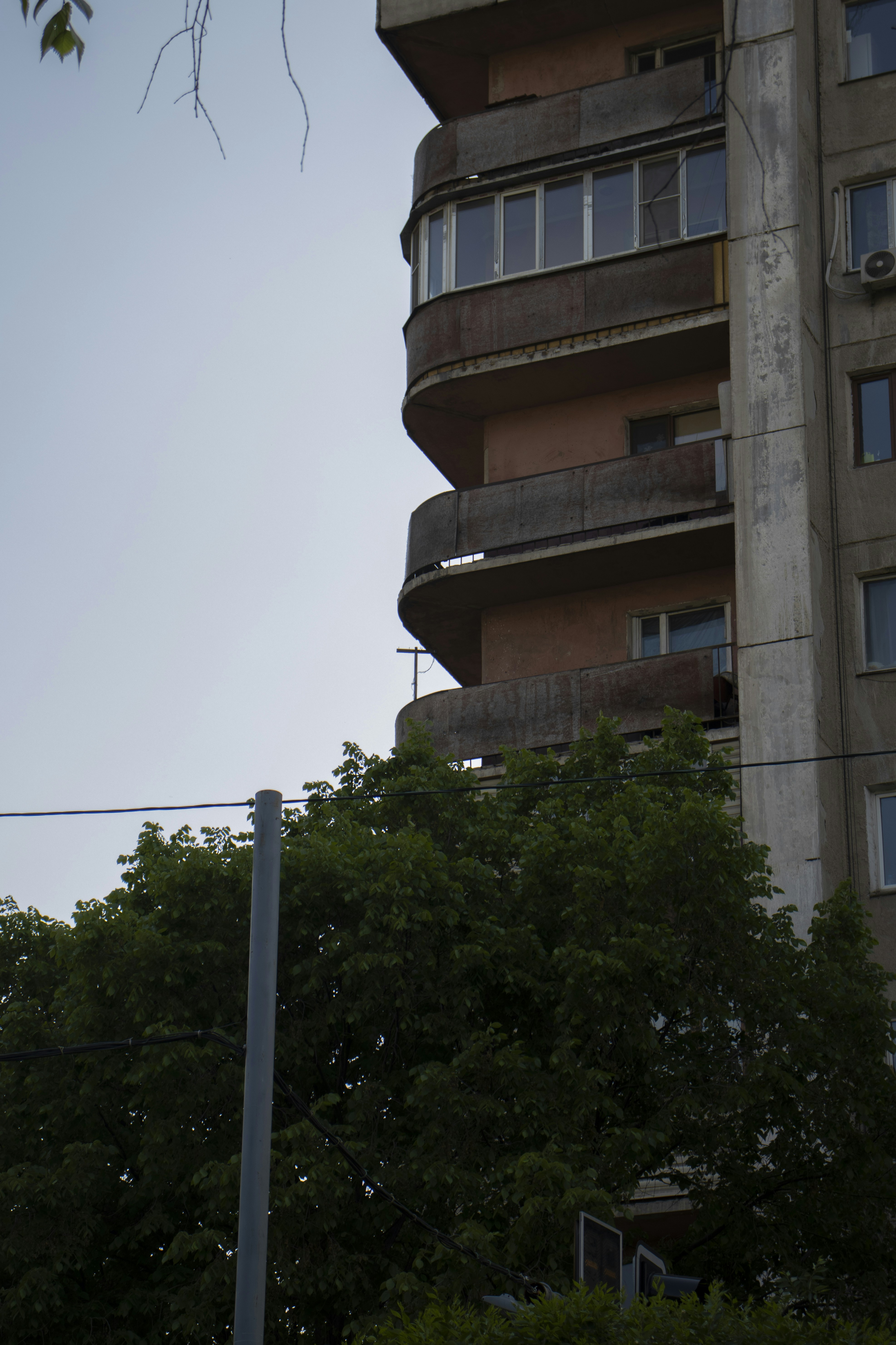 Photo by epicroboelf