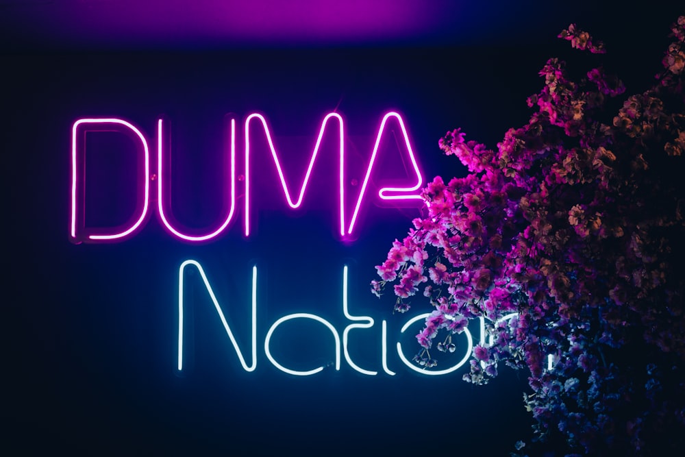 a neon sign that reads dumb nation