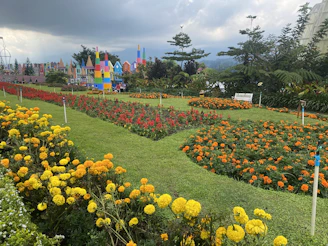 A peaceful garden corner with colorful marigolds blooming alongside vegetable patches