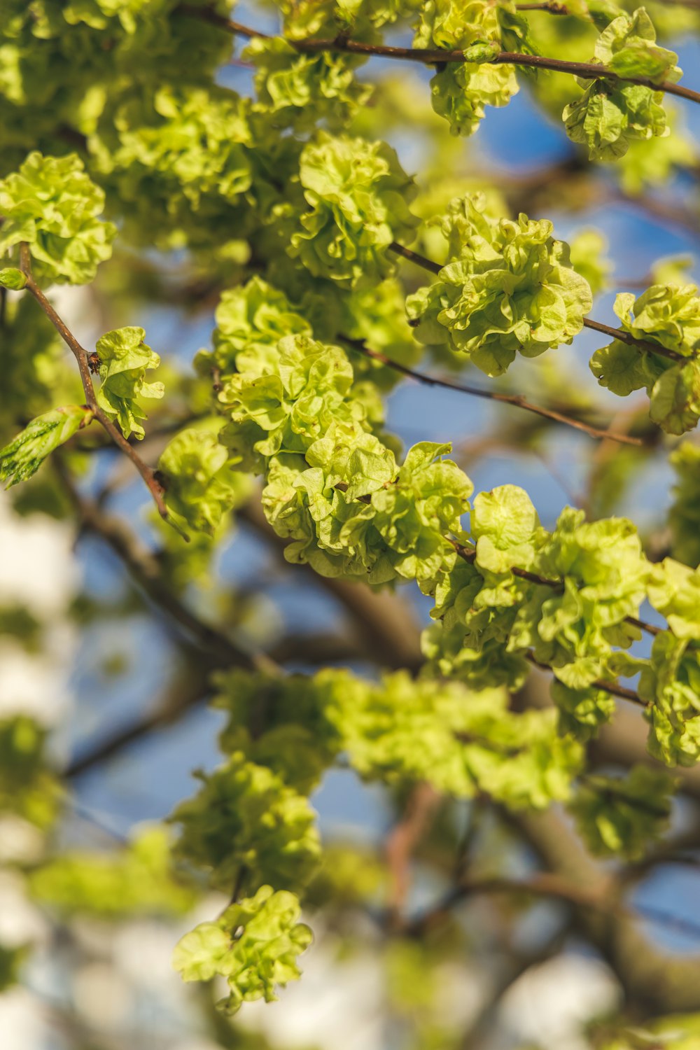 a bird is perched on a tree branch