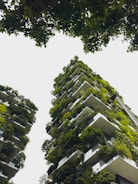 Architectural models of sustainable buildings surrounded by tropical greenery.