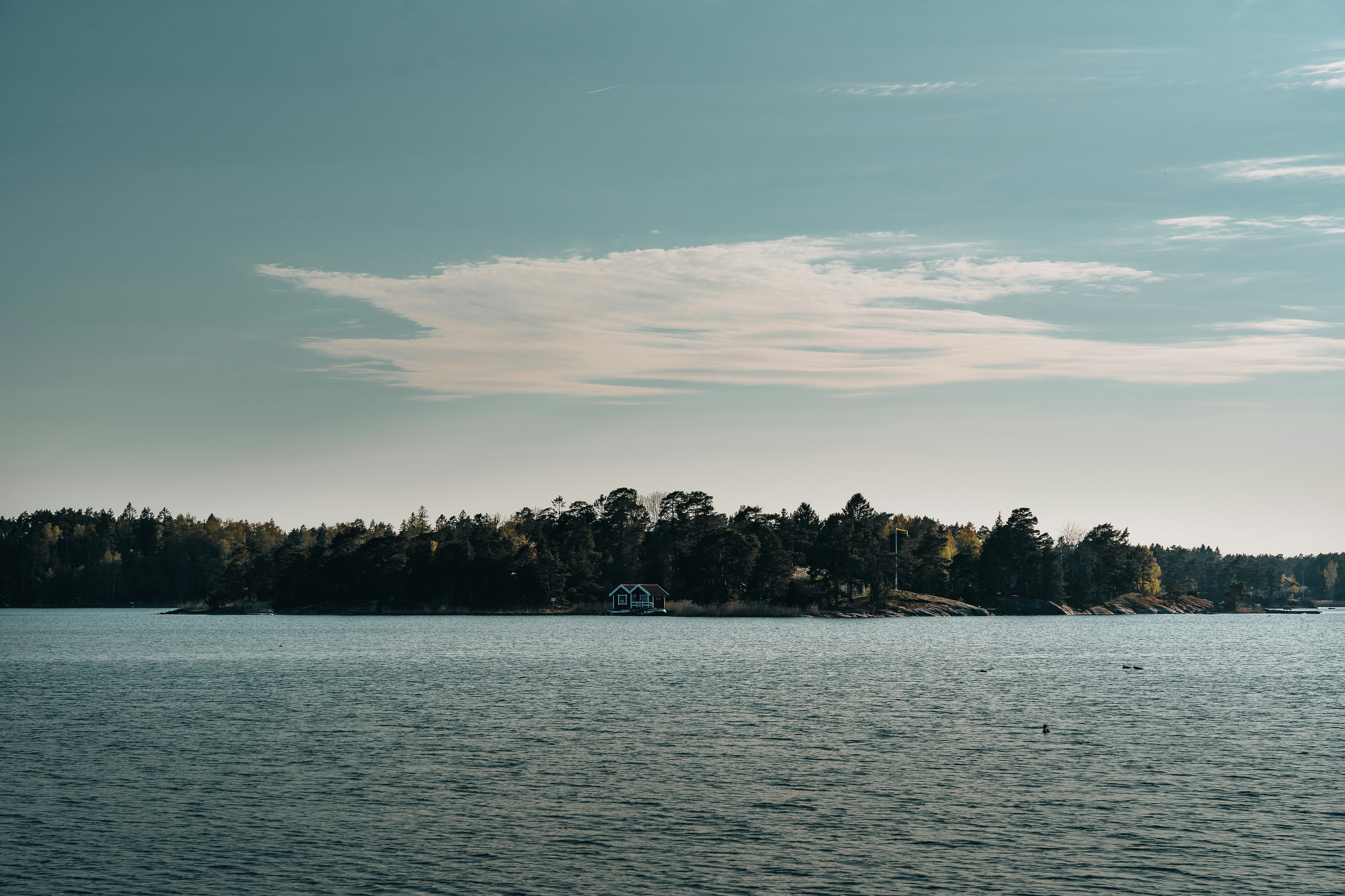 Photo by masoodaslami