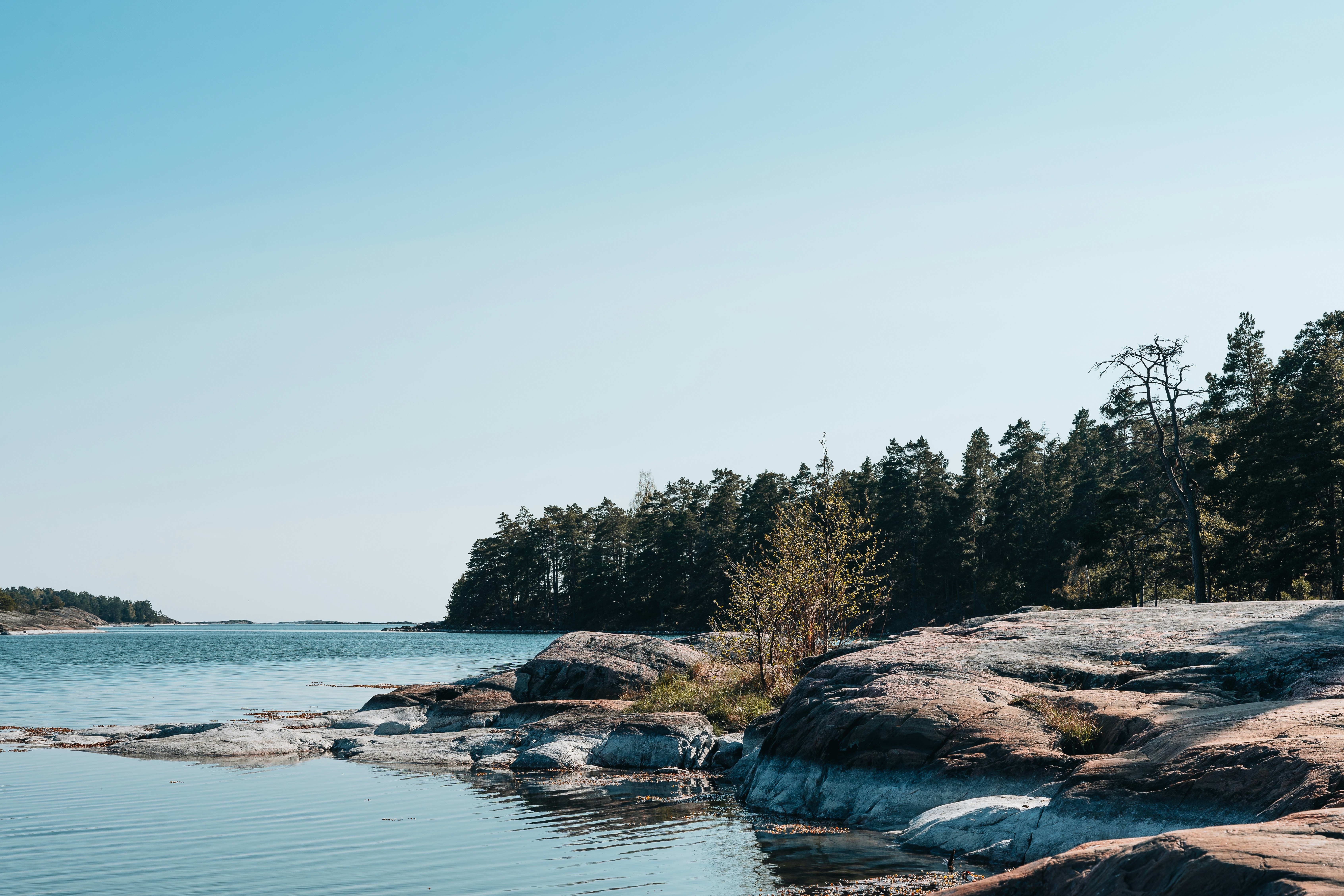 Photo by masoodaslami