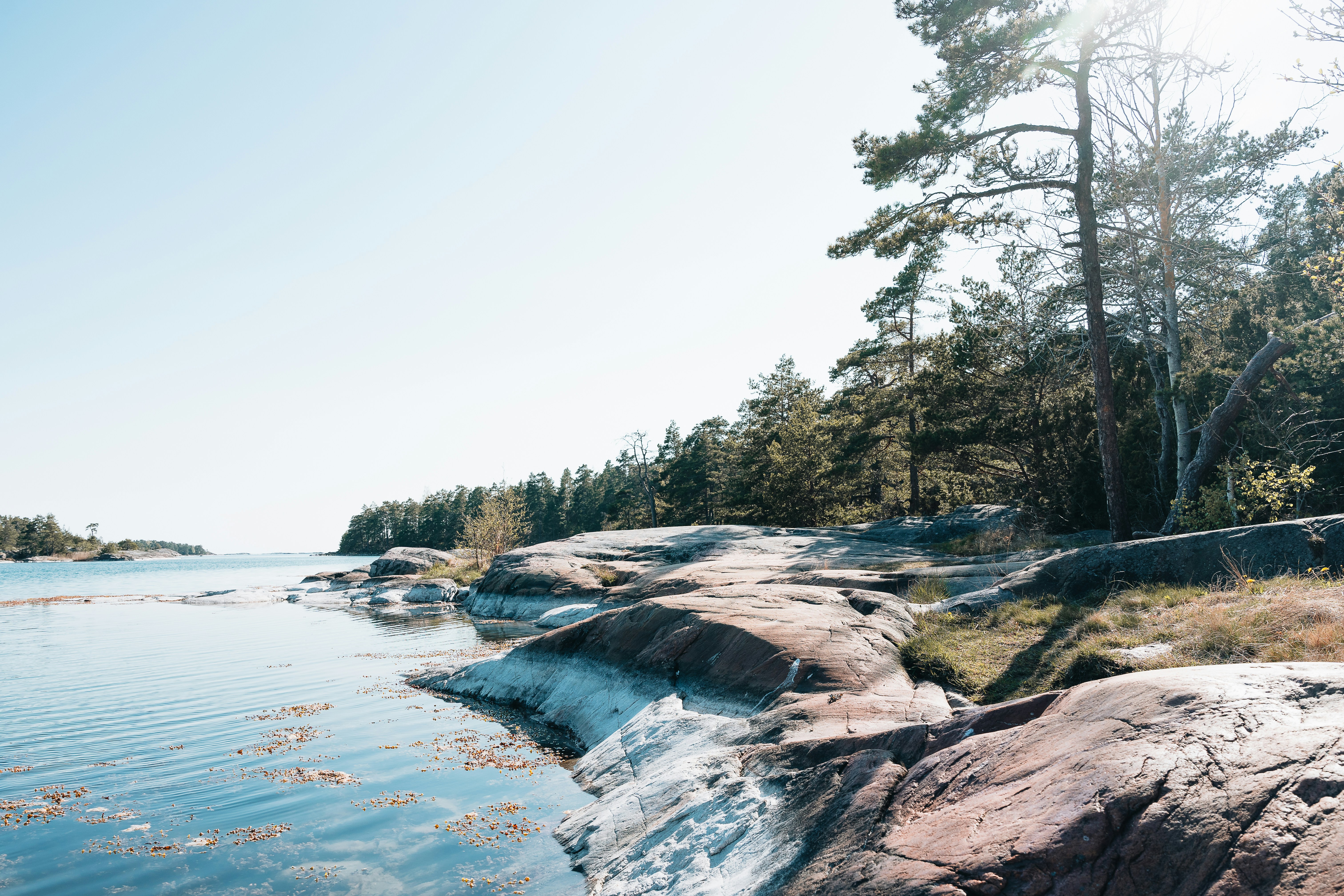 Photo by masoodaslami