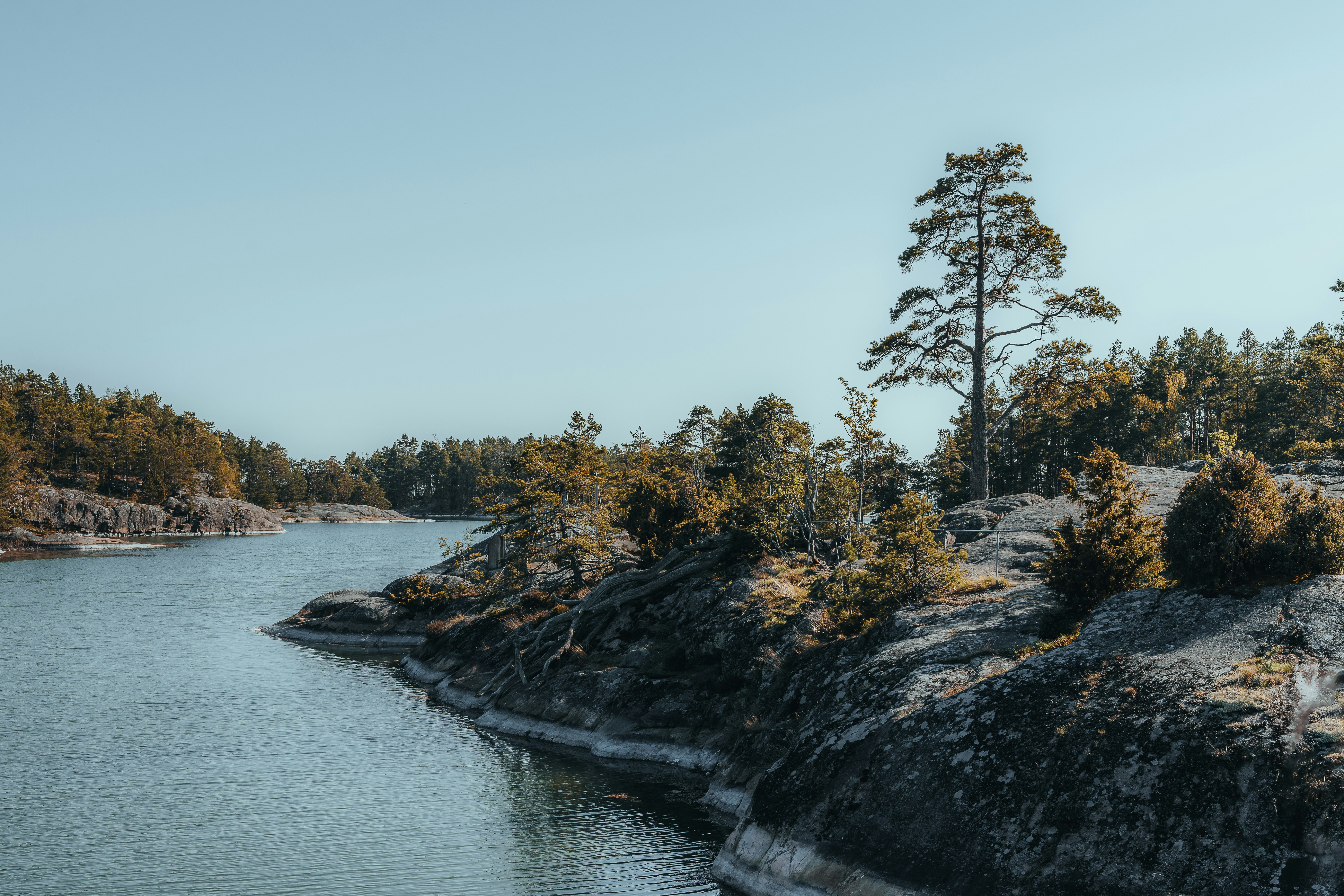 Photo by masoodaslami