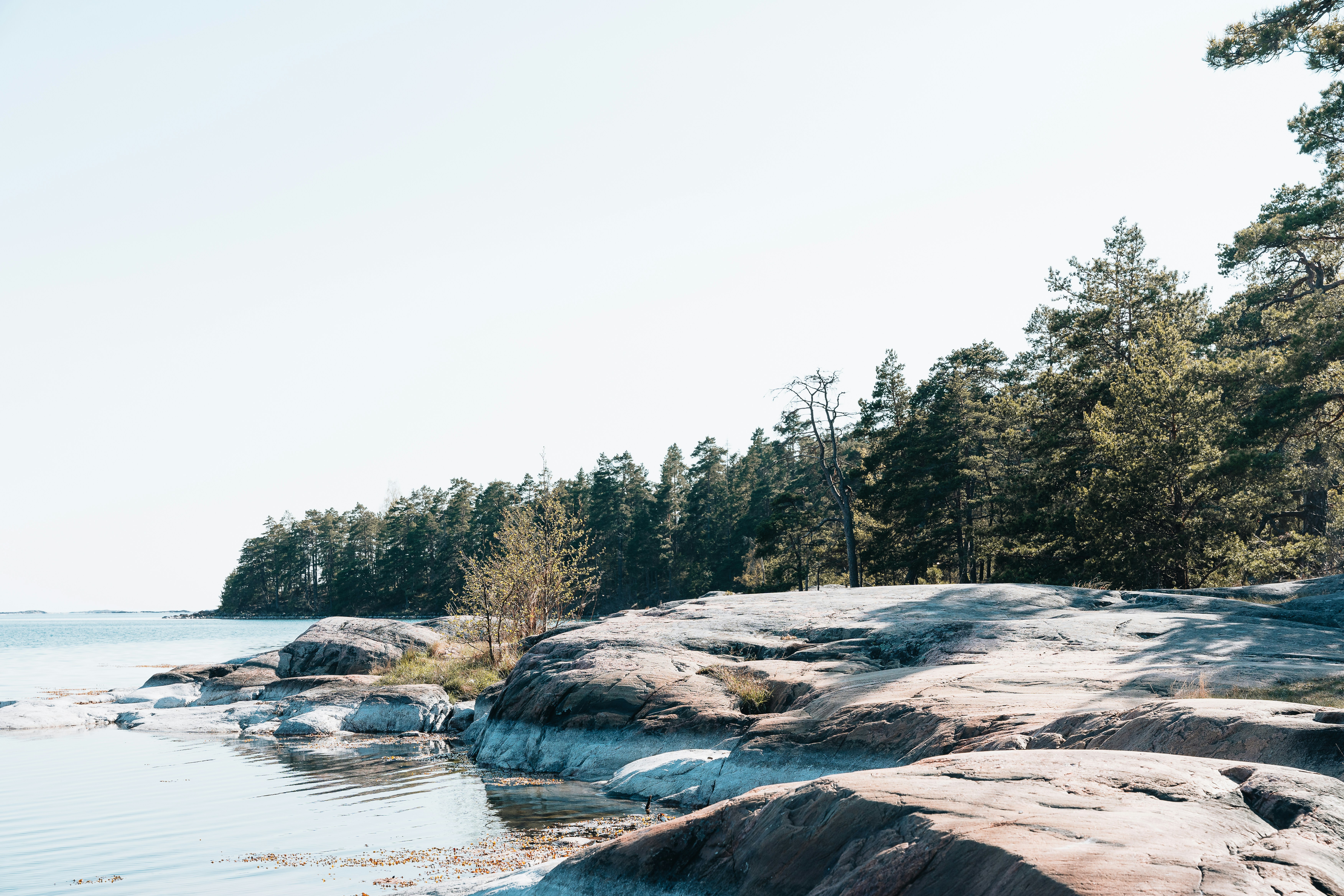 Photo by masoodaslami