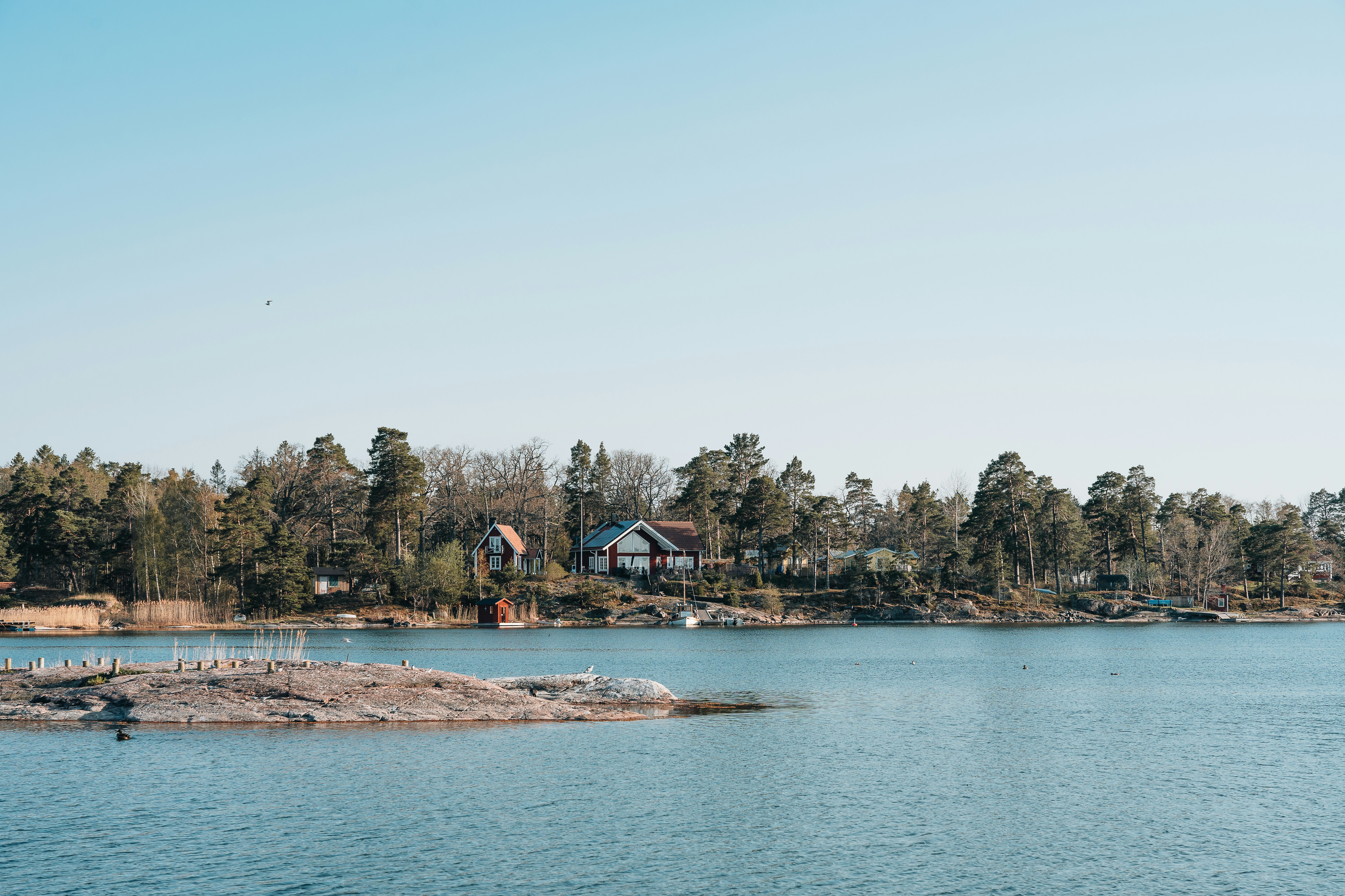 Photo by masoodaslami