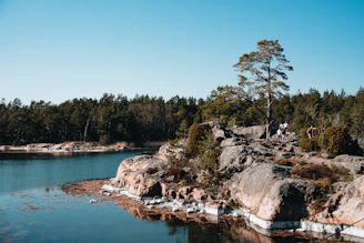 A serene coastal scene with a small group hiking along a sunlit trail overlooking the Mediterranean Sea.