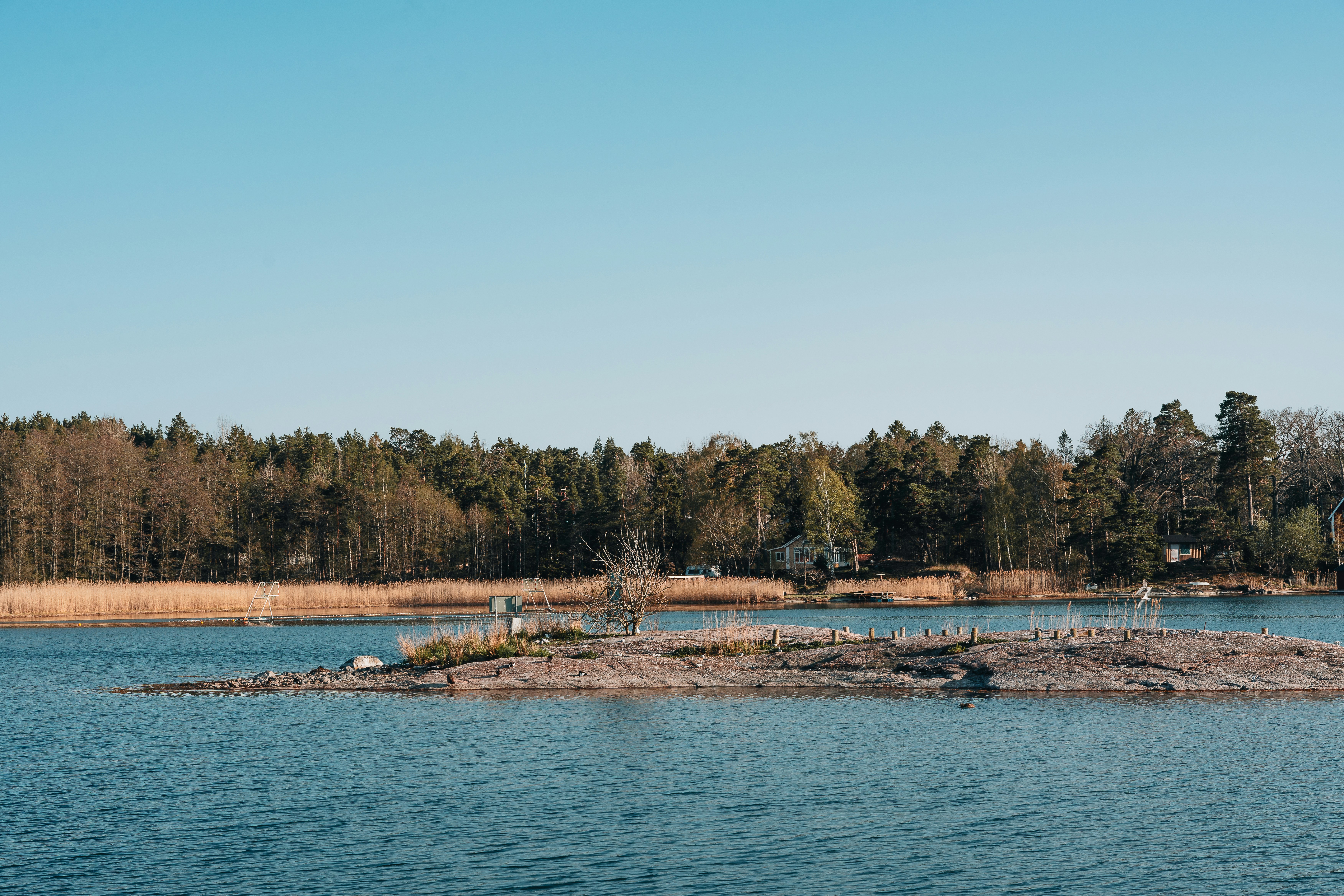 Photo by masoodaslami