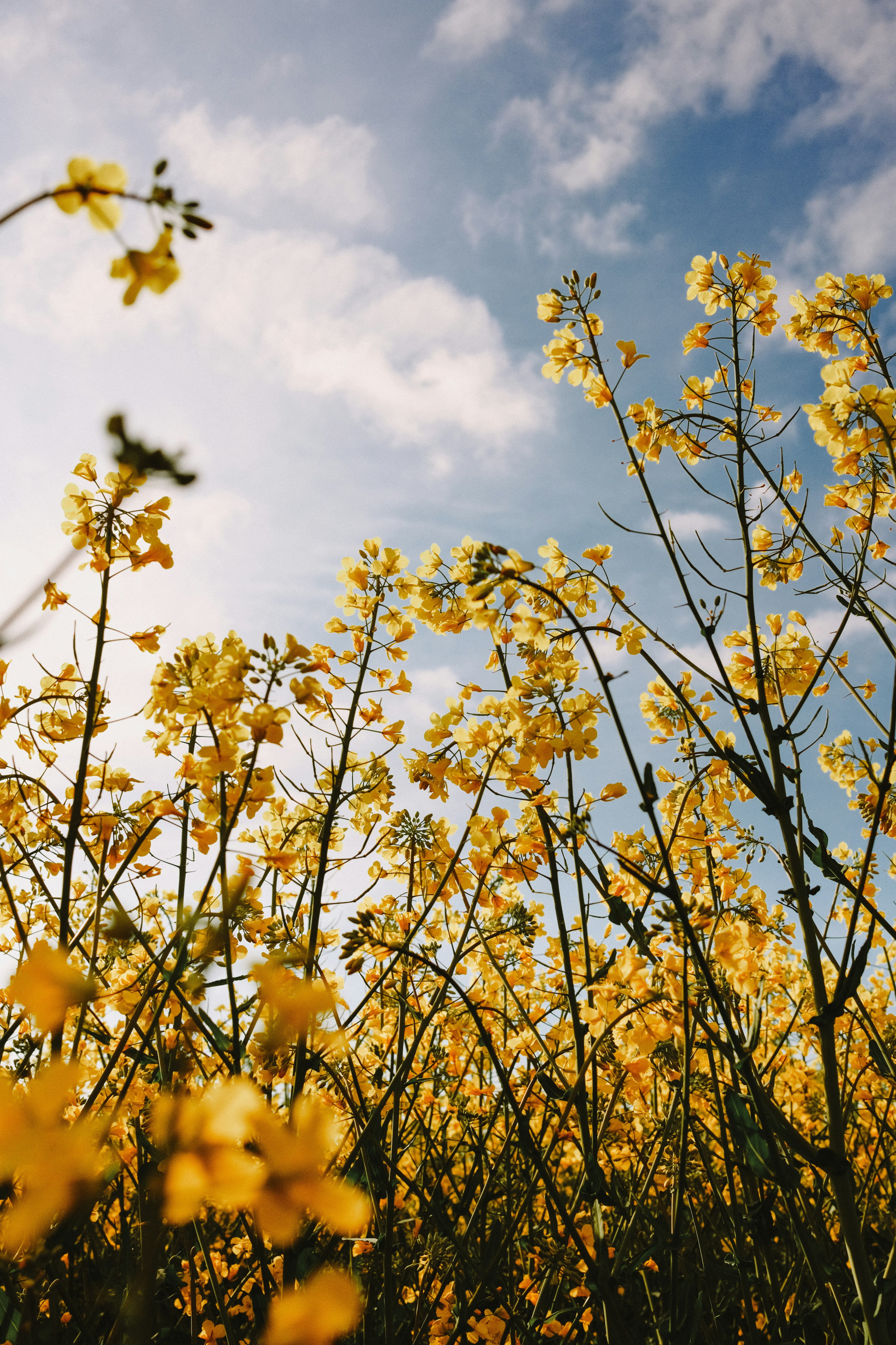 Photo by marinareich